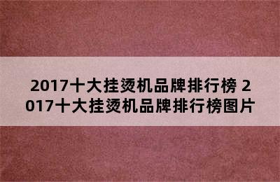 2017十大挂烫机品牌排行榜 2017十大挂烫机品牌排行榜图片